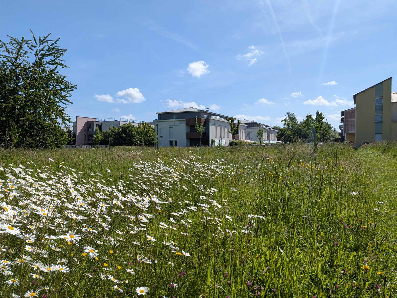 Découvrez votre atelier