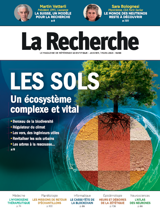Les sols, un écosystème complexe et vital
